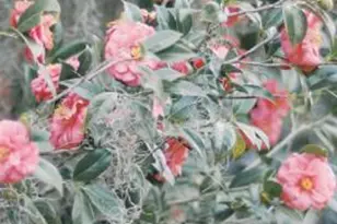 164 Paige Point Bluff, Seabrook, SC 29940 - Photo 27