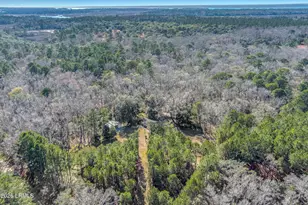 164 Paige Point Bluff, Seabrook, SC 29940 - Photo 45