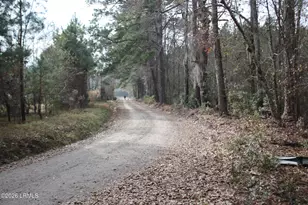 209 Dowlingwood Dr, Ridgeland, SC 29936 - Photo 5