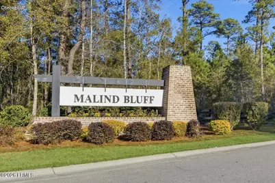 463 Danner Drive, Okatie, SC 29909 - Photo 63