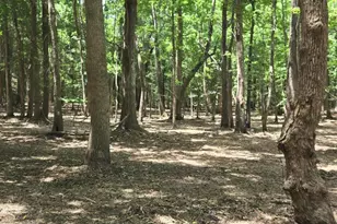 976 Sams Point Rd, Beaufort, SC 29907 - Photo 55