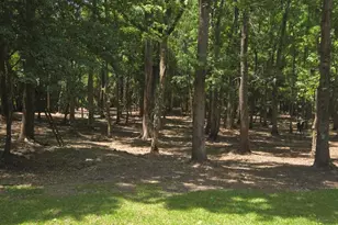 976 Sams Point Rd, Beaufort, SC 29907 - Photo 53