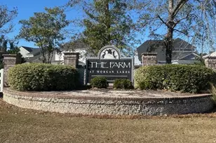 126 Rocking Horse Ln, Port Wentworth, GA 31407 - Photo 25
