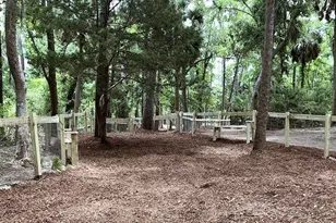 25 Reeve Ct, Saint Helena Island, SC 29920 - Photo 71