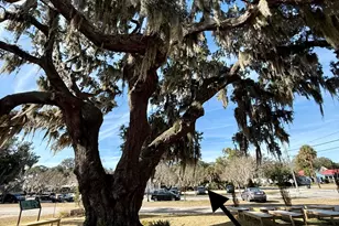 1604 King St, Beaufort, SC 29902 - Photo 11