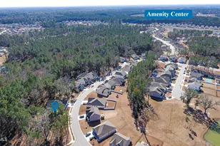 114 Runner Stone Rd, Bluffton, SC 29909 - Photo 43