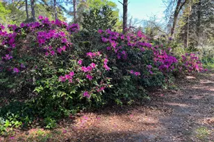 1610 Columbia Dr, Beaufort, SC 29906 - Photo 9