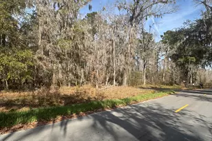 166 Twickenham Rd, Yemassee, SC 29945 - Photo 3