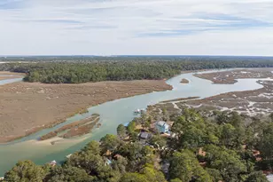 45 Cameroon Dr, Beaufort, SC 29907 - Photo 63