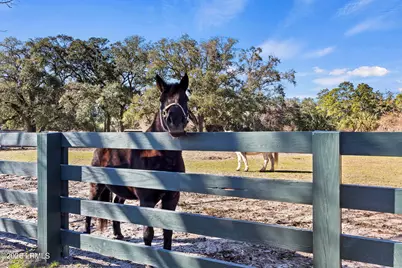 79 Lighthouse Road #2399, Hilton Head Island, SC 29928 - Photo 59