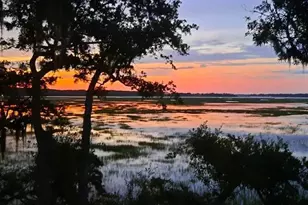 2201 Boundary St, Beaufort, SC 29902 - Photo 13