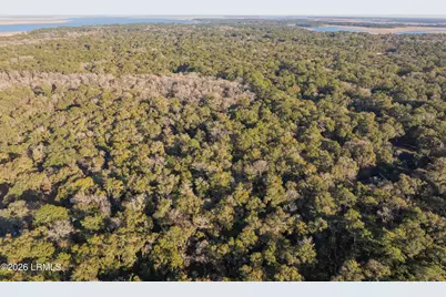 47 Osmunda Street, Beaufort, SC 29907 - Photo 11