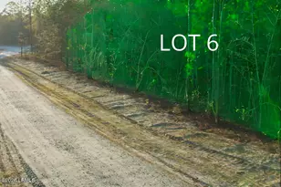 518 Evangelist Dr, Early Branch, SC 29916 - Photo 19