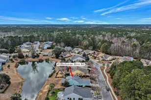 48 Blackstone River Rd, Bluffton, SC 29910 - Photo 43