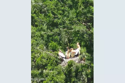 130 Sea Otter Lane, Ladys Island, SC 29920 - Photo 33