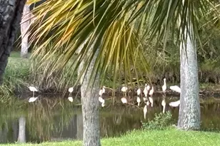 130 Sea Otter Ln, Ladys Island, SC 29920 - Photo 31