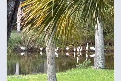 130 Sea Otter Lane, Ladys Island, SC 29920 - Photo 31