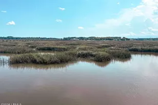 126 Stuart Point Rd, Seabrook, SC 29940 - Photo 33