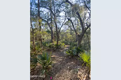 45 Huspah Court S, Sheldon, SC 29941 - Photo 3