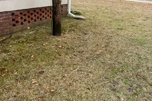 619 Bridge St, Bamberg, SC 29003 - Photo 15