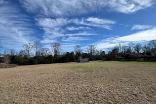 4887 Burtons Ferry Hwy, Allendale, SC 29810 - Photo 25