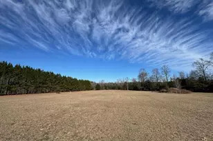 4887 Burtons Ferry Hwy, Allendale, SC 29810 - Photo 23