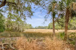 6 Winding Oak Dr, Okatie, SC 29909 - Photo 61