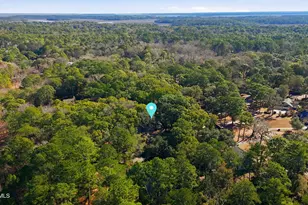 8 Meridith Ln, Beaufort, SC 29907 - Photo 39