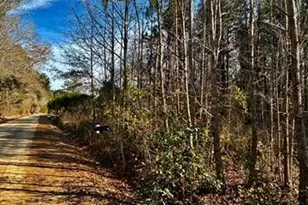 278 Sylvester Rd, Varnville, SC 29944 - Photo 1