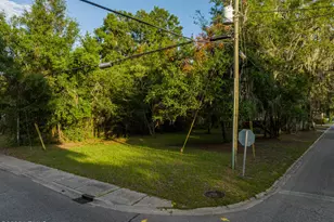 Tbd Washington St, Beaufort, SC 29902 - Photo 27