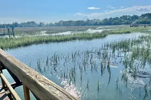 16 Riverview Dr, Beaufort, SC 29907 - Photo 41