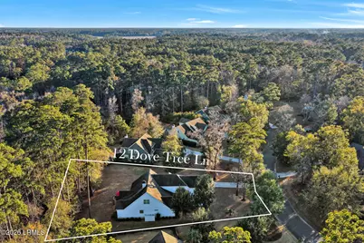 12 Dove Tree Lane, Bluffton, SC 29910 - Photo 59