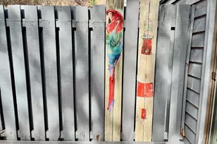 8 Battery Ln, Beaufort, SC 29902 - Photo 15