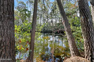 8 Brassie Ct, Hilton Head, SC 29928 - Photo 43