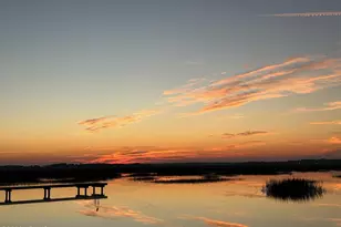 19 Belle Isle Farms, Beaufort, SC 29907 - Photo 51