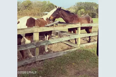 19 Belle Isle Farms, Beaufort, SC 29907 - Photo 75
