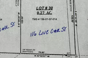 116 Live Oak St, Varnville, SC 29944 - Photo 1