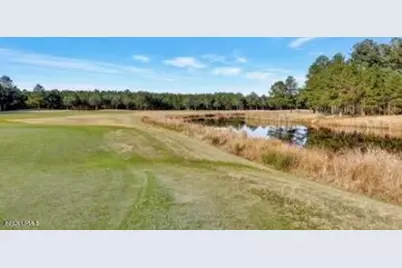 250 Hawthorn Lane, Hardeeville, SC 29927 - Photo 5