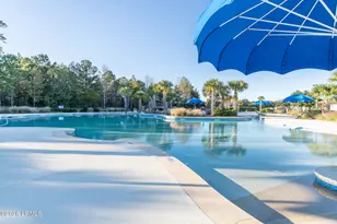 406 Rye Crk Cir, Bluffton, SC 29909 - Photo 39