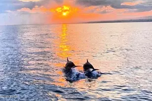 40 Folly Field Rd, Hilton Head, SC 29928 - Photo 53