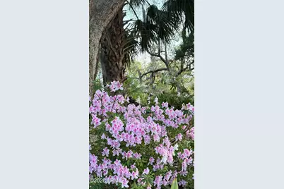 50 Scipio Road, Beaufort, SC 29906 - Photo 83