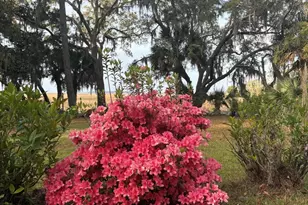 50 Scipio Rd, Beaufort, SC 29906 - Photo 61