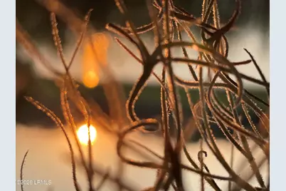 50 Scipio Road, Beaufort, SC 29906 - Photo 81