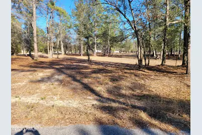 Tbd Beaver Dam Road, Ridgeland, SC 29936 - Photo 1