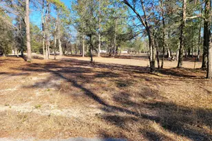Tbd Beaver Dam Rd, Ridgeland, SC 29936 - Photo 1