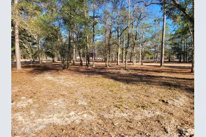 Tbd Beaver Dam Road, Ridgeland, SC 29936 - Photo 3