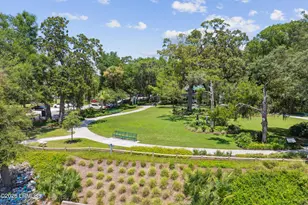 6 Wild Spartina St, Bluffton, SC 29910 - Photo 49