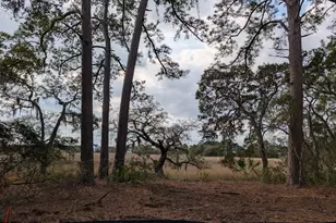 61 Tuscarora Ave, Beaufort, SC 29907 - Photo 3