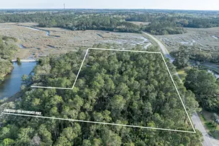 174 Polowana Rd, Saint Helena Island, SC 29920 - Photo 3