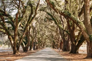 1 Manchester Ct, Bluffton, SC 29910 - Photo 47